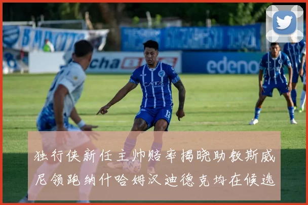 独行侠新任主帅赔率揭晓助教斯威尼领跑纳什哈姆汉迪德克均在候选之中