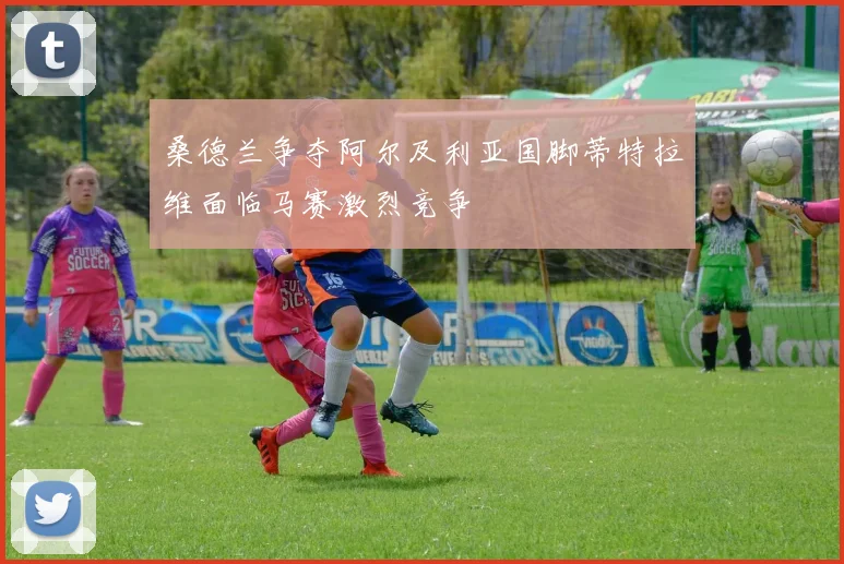 桑德兰争夺阿尔及利亚国脚蒂特拉维面临马赛激烈竞争